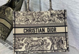  Dior Book Tote bag