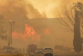 حريق غابات تركيا 