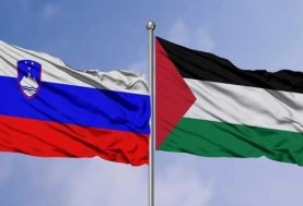 علم فلسطين وعلم سلوڤينيا 
