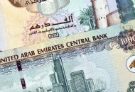 سعر الدرهم الإماراتي 