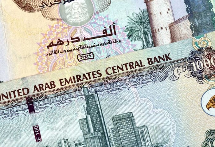 سعر الدرهم الإماراتي 