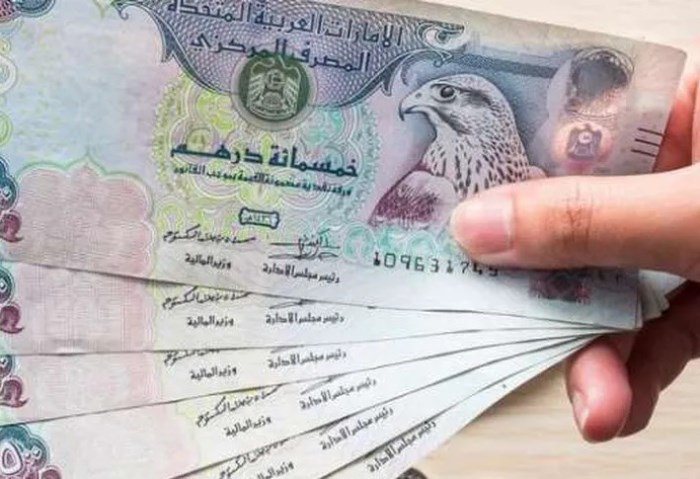  سعر الدرهم الإماراتي