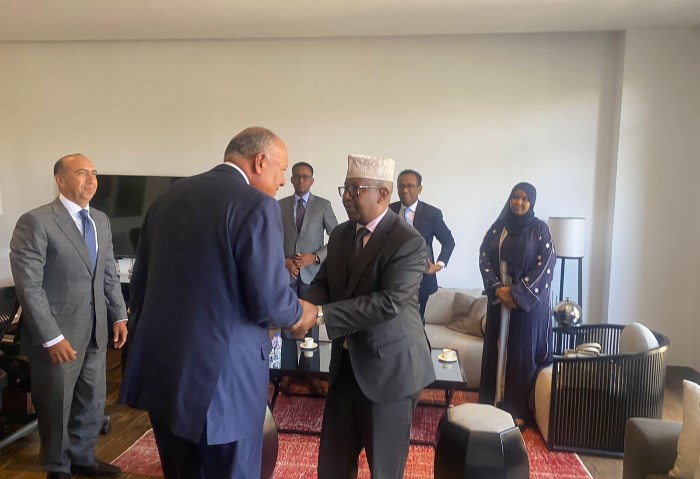 وزيرا خارجية مصر والصومال