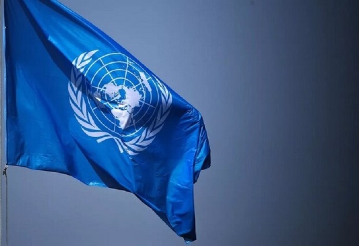 علم الأمم المتحدة 