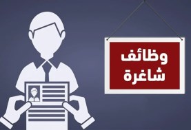 وظائف وفرص عمل وزارة الرياضة