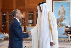 أمير قطر ووزير الخارجية السفير بدر عبد العاطي
