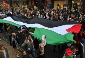 متظاهرون في بريطانيا يدعمون فلسطين، الجمهور الإخباري
