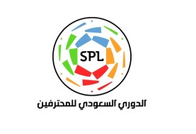 الدوري السعودي للمحترفين 