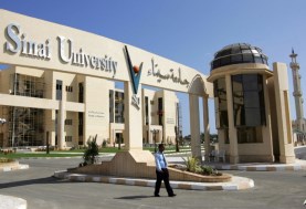 جامعة سيناء