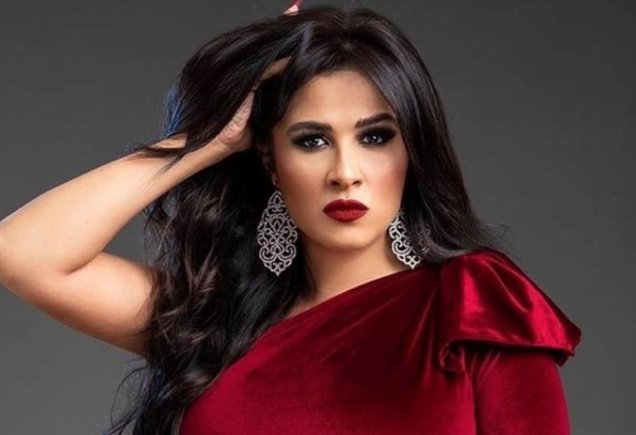 الفنانة ياسمين عبد العزيز