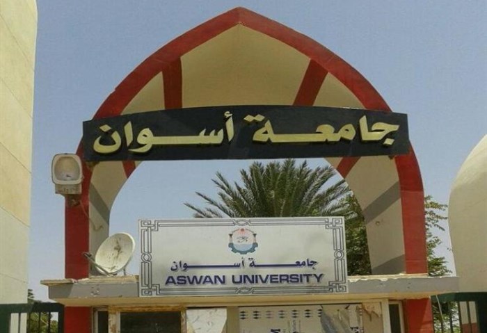 جامعة اسوان