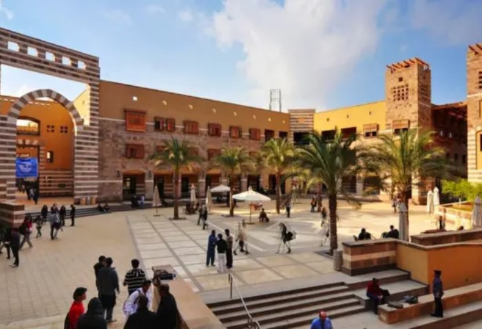 الجامعة الأمريكية