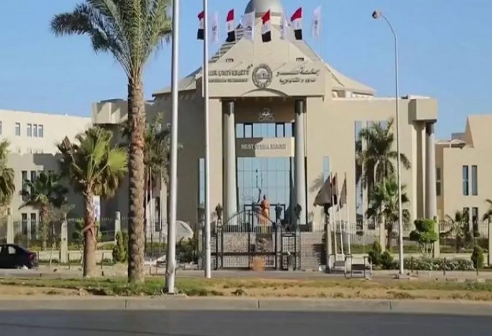 جامعة مصر للعلوم والتكنولوجيا