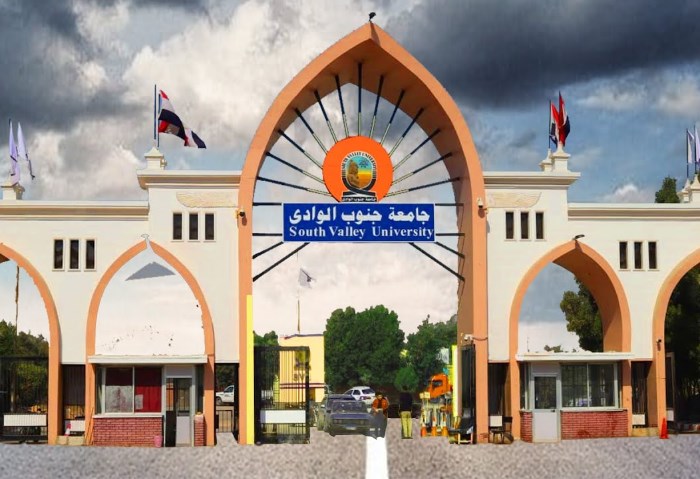 جامعة جنوب الوادي 