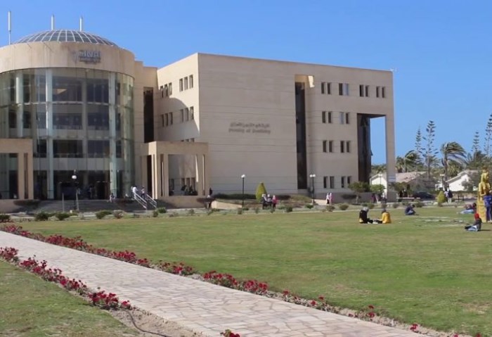 جامعة حلوان الأهلية