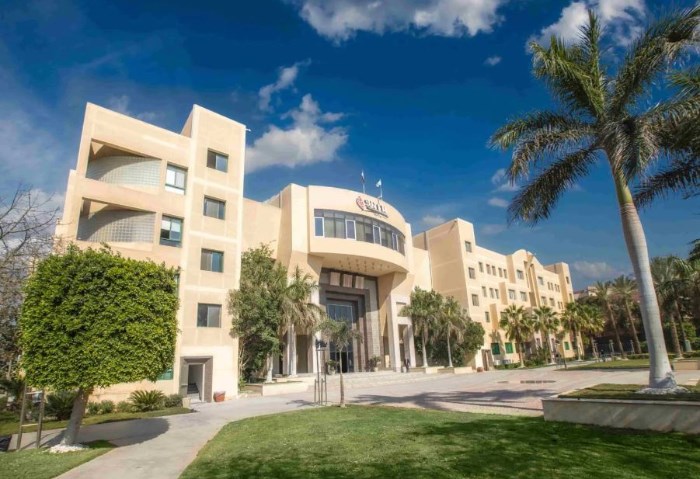 جامعة مصر الدولية