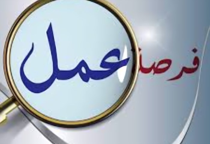 فرص عمل للشباب- ارشيفية