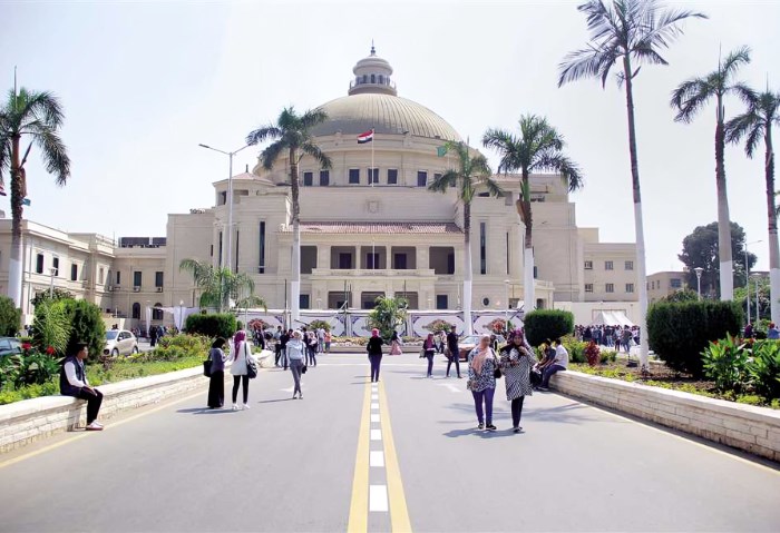 جامعة القاهرة -أرشيفية