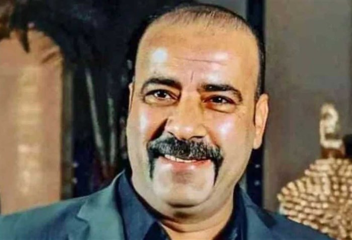  الفنان محمد سعد