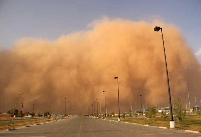 العواصف التربية