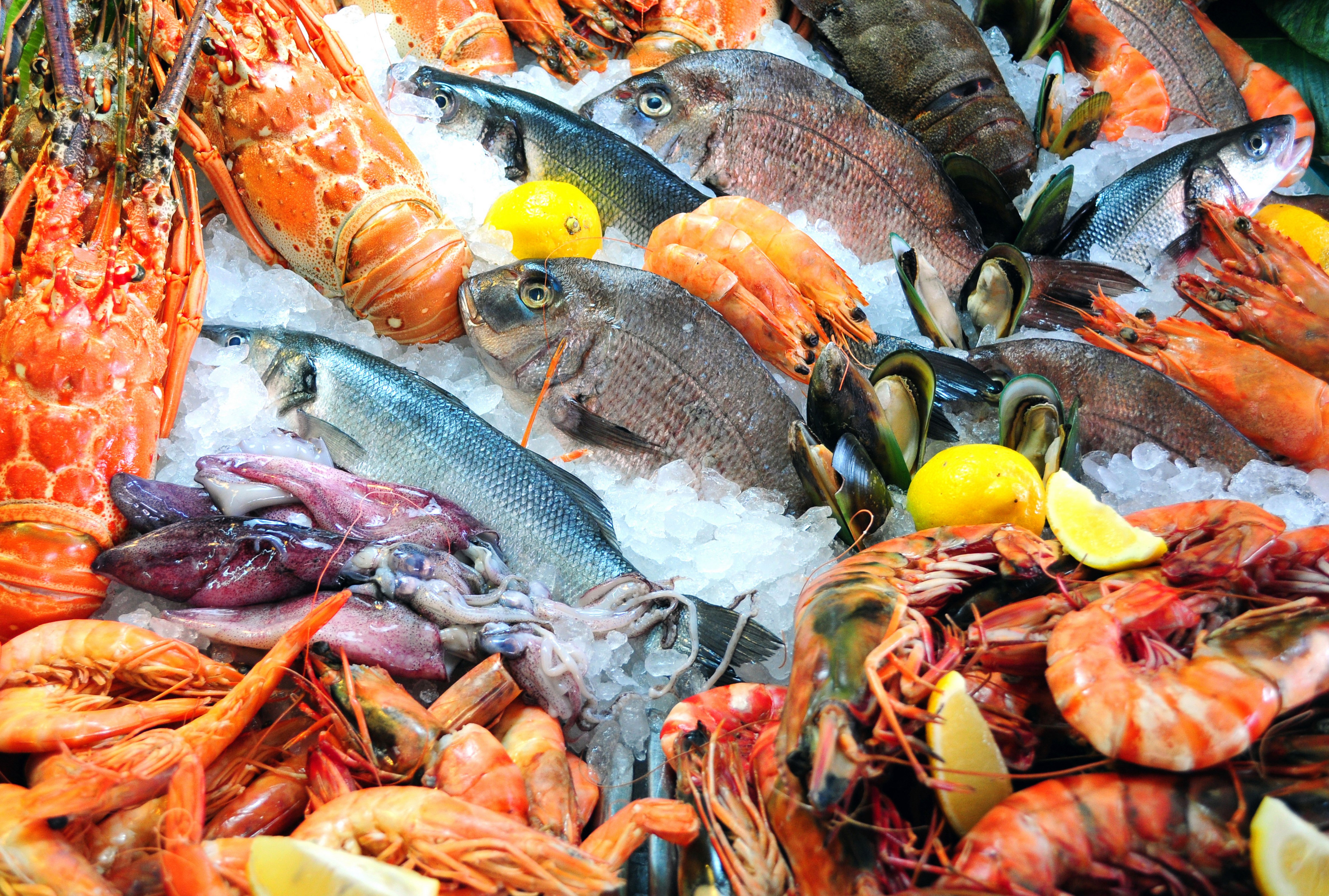 844392-Seafoods-Fish_4774_044727.jpg