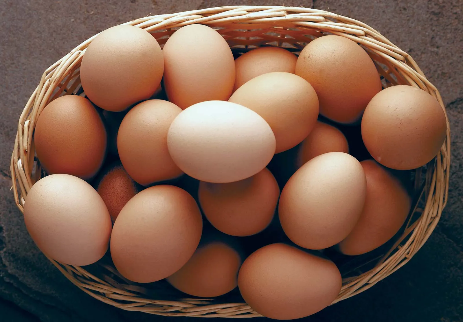 Brown-eggs_4774_035611.jpg